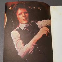 Diamond Dogs Tour Program 5.jpg