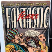 Fantastic Fears # 2 1953 Published Farrel Press 1.jpg (in lightbox)
