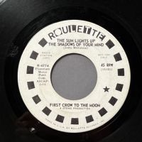 First Crow To The Moon The Sun Lights Up The Shadows Of Your Mind on Roulette White Label Promo 2.jpg