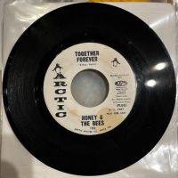Honey & The Bees Together Forever on Arctic One Sided Promo 1.jpg