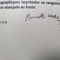 L’Avenir de la Propriété  By Pierre Alechinsky Signed and Numbered 1st Edition 9.jpg