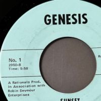 Rationals Guitar Army b:w Sunset on Genesis No. 1 8.jpg