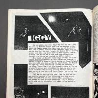 Reagan Death #3 Zine 14.jpg