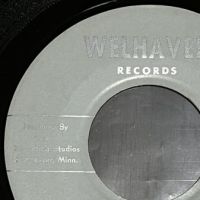 The Ferraris Can’t Explain on Welhaven Records 8.jpg