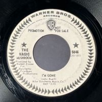 The Magic Mushroom I’m Gone on Warner Bros White Label Promo 2.jpg