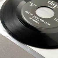 The Shandels Does The Circus Ever Close b:w Rick’s Tune on DSP Records 9.jpg