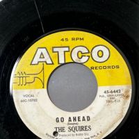 The Squires Goin All The Way b:w Go Ahead on Atco 9.jpg