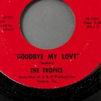 The Tropics I Want More b:w Goodbye My Love on Freeport Records 9 (in lightbox)