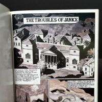 The Troubles of Janice #2 Graphic Novel by Eric Von Gotha 5.jpg