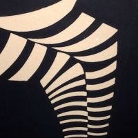 vasarely zebra litho 14.jpg