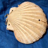 Victorian Era Scallop Shell Book with Pressed Flowers 1 (in lightbox)