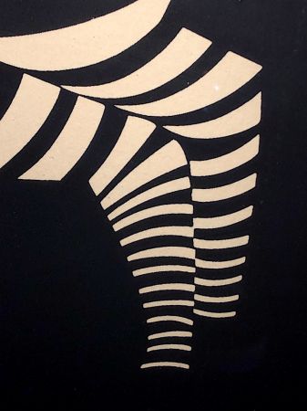 vasarely zebra litho 14.jpg