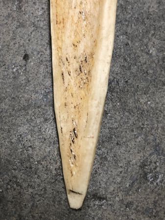 Cassowary Bone Dagger with Clay Head Papua New Guinea 4.jpg