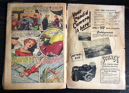 Journey Into Fear No. 7 May 1952 Published by Superior Comic 23.jpg