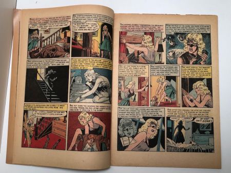 The Vault of Horror No. 35 March 1954 Published by EC Comics 18.jpg