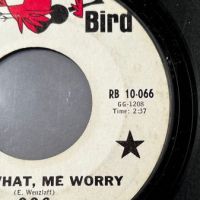 006 Like What, Me Worry b:w Why Can’t I Stay on Red Bird PROMO 4.jpg