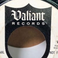 Art Guy Where You Gonna Go b:w Teenage Millionaire Valiant Records 6.jpg
