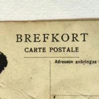 Brazil Jack Signed Postcard Brefkort Circa 1910 Circus 12.jpg