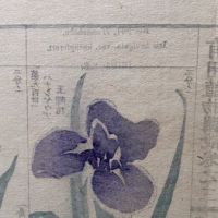 Chinese Herbal Flower Pages 14.jpg