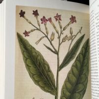 Culpeper's Herbal The English Physican Enlarged Hardback with Slipcase Folio Society 2007 9.jpg