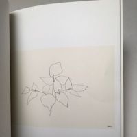 Ellsworth Kelly Plant Lithographs 1973-1997 Susan Sheehan Gallery 7.jpg
