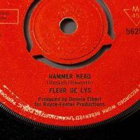 Fleur de Lys Gong With The Luminous Nose b:w Hammer Head on Polydor 8.jpg