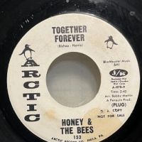 Honey & The Bees Together Forever on Arctic One Sided Promo 2.jpg