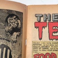 Tales From The Crypt No 40 March 1954 published by EC Comics 9 (in lightbox)