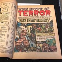 Tales From The Crypt no. 24 June 1951 14.jpg