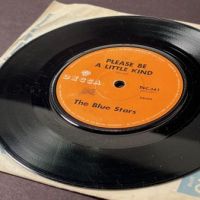 The Blue Stars I Can Take It b:w Please Be A Little Kind on Decca New Zealand 16.jpg