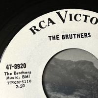 The Bruthers Bad Way To Go on RCA White Label Promo 5.jpg