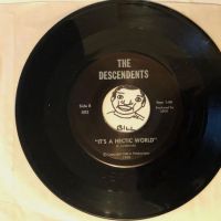 The Descendents Ride The Wild on Orca Productions – 001 Pinsicato Records Sleeve 16.jpg