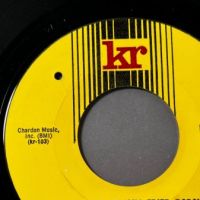 The Driving Stupid Horror Asparagus Stories b:w The Reality of Air Fried Borsk on Kr Records 9.jpg
