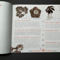 The Encyclopedia of Psychoactive Plants by Christian Ratsch Published by Park Street Press 16.jpg