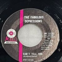 The Fabulous Depressions Can’t Tell You b:w One By One on Maad Records 2.jpg