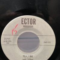 The Jades I'm All Right on Ector Records 1965 4.jpg