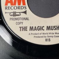 The Magic Mushrooms It’s-A-Happening on A&M Records White Label Promo 8.jpg (in lightbox)