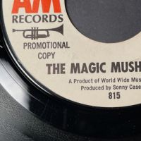 The Magic Mushrooms It’s-A-Happening on A&M Records White Label Promo 8.jpg