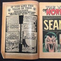 The Vault of Horror No. 25 July 1952 published by EC 8 (in lightbox)