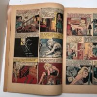 The Vault of Horror No. 35 March 1954 Published by EC Comics 18.jpg