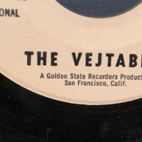 The Vejtables Shadows on Uptown 741 white label promo 3.jpg