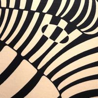 vasarely zebra litho 15.jpg