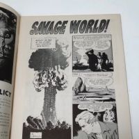 Wally Wood Witzend No 1 1966 5.jpg