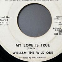 William The Wild One Willie The Wild One on Festival Records White Label Promo 7 (in lightbox)