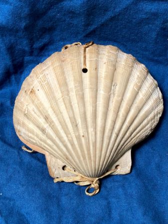 Victorian Era Scallop Shell Book with Pressed Flowers 2.jpg