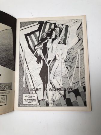 Witzend No 10 1976 Full Color Cover and Back by Wally Wood 7.jpg