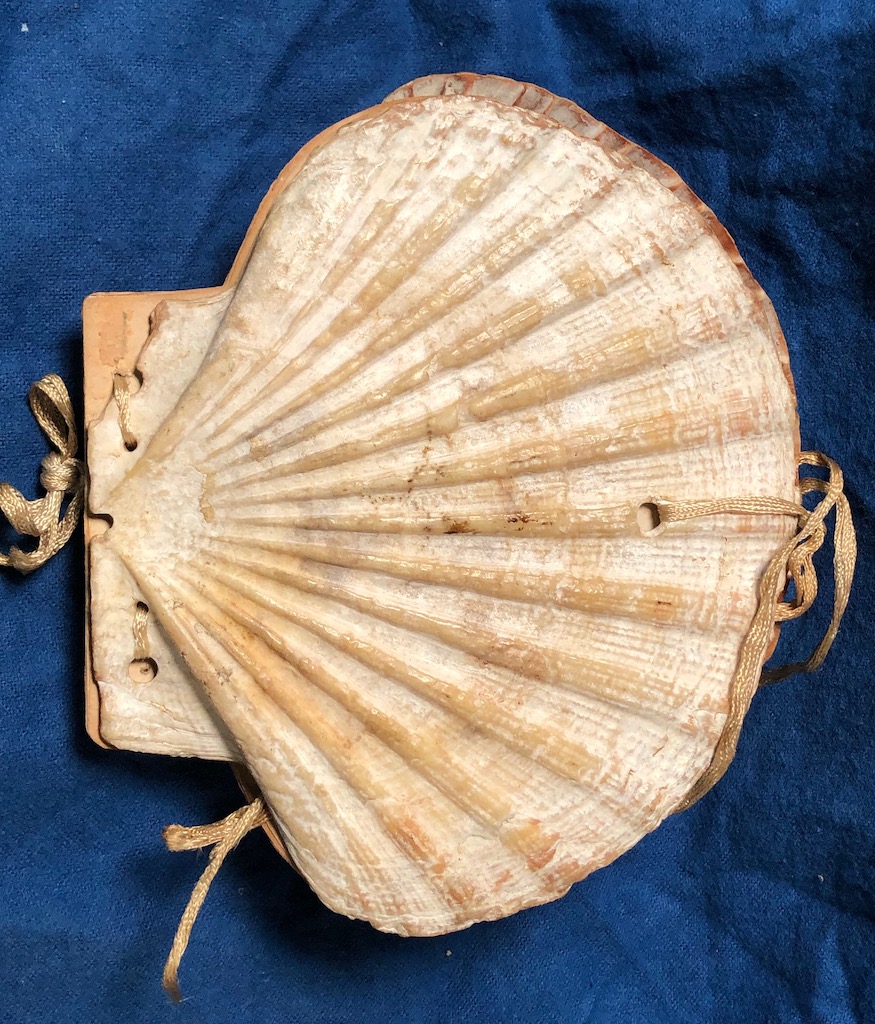 Victorian Era Scallop Shell Book with Pressed Flowers 3.jpg