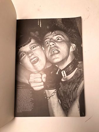 Punk Rock by Virginia Boston Published by Penguin Books 1978 1st Edition 4.jpg