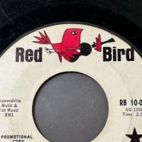 006 Like What, Me Worry b:w Why Can’t I Stay on Red Bird PROMO 5 (in lightbox)