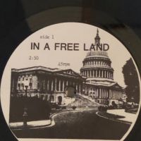 2nd Single Husker Du In a Free Land on New Alliance Records – NAR 010 Near Mint Sleeve and Record 1982 16.jpg
